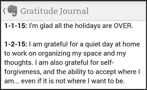 2015 Gratitude Journal