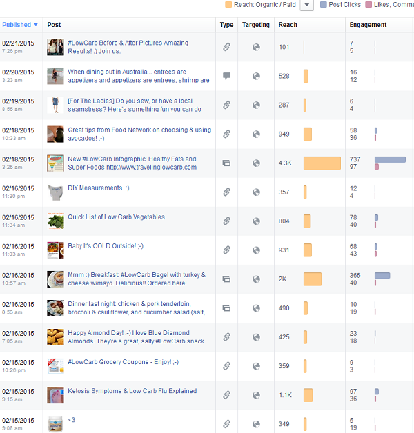 Low Carb Page Facebook Insights