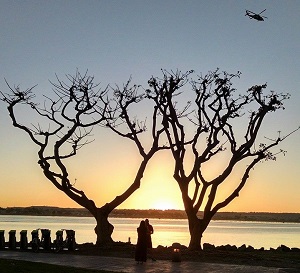 San Diego Harbor Sunset